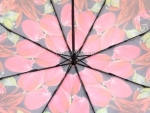 Зонт  женский Zicco, арт.2240-1_product